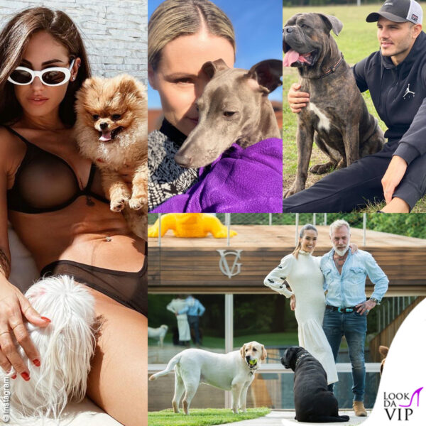 Instagram cani Giulia De Lellis Michelle Hunziker Mauro Icardi Gianuca Vacchi