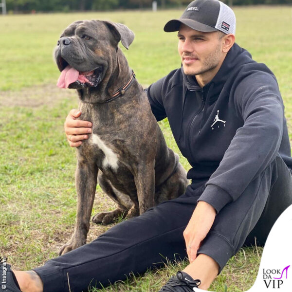 Il campione ha scelto per l'animale un nome italiano: Tano Icardi