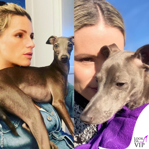 Michelle Hunziker possiede anche due barboncini, ma solo Odino ha un profilo social