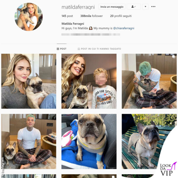 Ecco il famoso profilo Instagram del cane di Chiara Ferragni, Matilda Ferragni