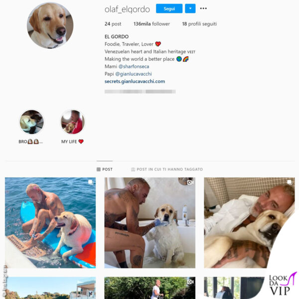 Poteva mancare Il profilo Instagram del cane di Gianluca Vacchi?