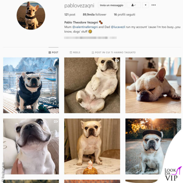 Pablo Vezagni è il cane di Valentina Ferragni e Luca Vezil: anche lui ha un profilo Instagram personale 
