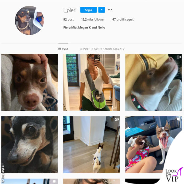 Il profilo Instagram dei cani di Elisabetta Canalis: I Pieri