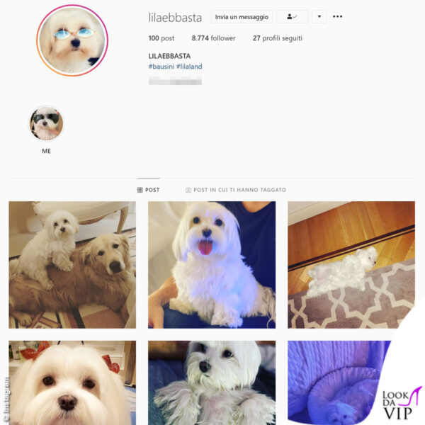 Ecco il profilo Instagram di Lila Bausini: indovina chi è la sua padroncina?