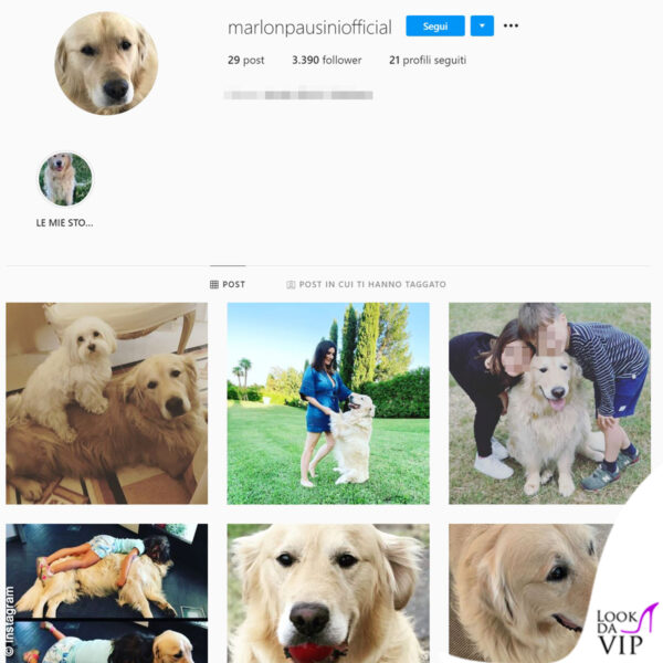 Marlon Pausini è suo "fratello": entrambi i cani di Laura Pausini possiedono un profilo Instagram  