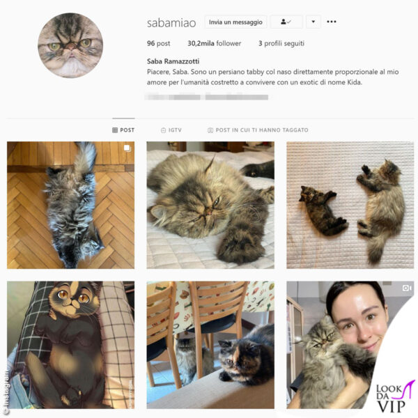 Anche Saba, il gatto di Aurora Ramazzotti ha un profilo Instagram 