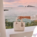 nella borsa di Paola Turani