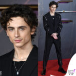 Dune Premiere Timothee Chalemet in Alexander McQueen