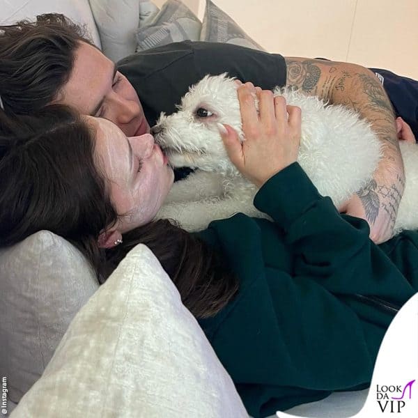 sul divano con uno dei loro cani 