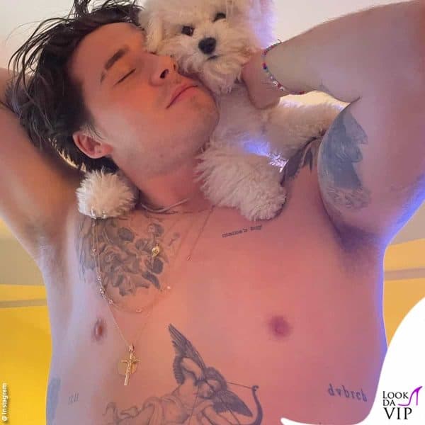 con uno dei loro cani