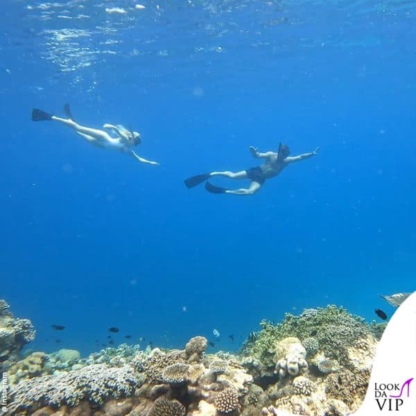 snorkeling nella barriera corallina 