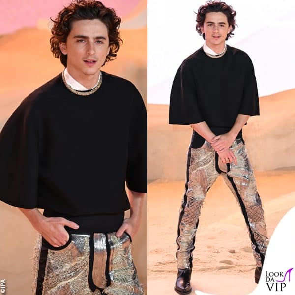 Timothee Chalamet in Haider Hackermann con gioielli Cartier