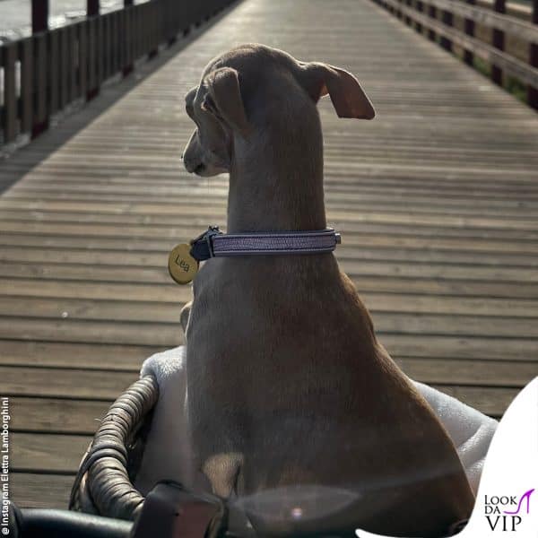 al mare con loro c'è anche la cagnolina Lea 