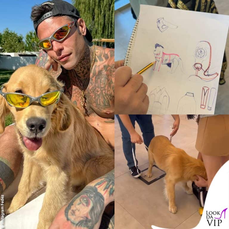 Silvio, il cane di Fedez, fa il fitting per la sfilata Versace