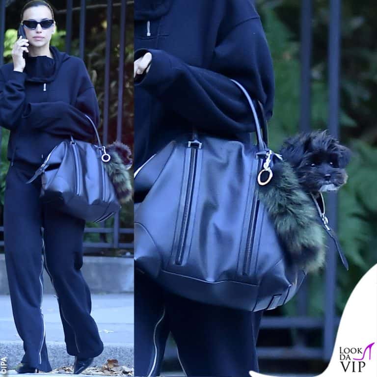 Irina Shayk col cane nella borsa