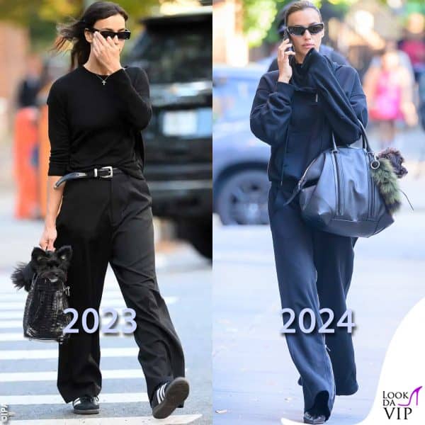 non è la prima volta che Irina Shayk sceglie di mettere l'amico a quattro zampe nella borsa firmata 