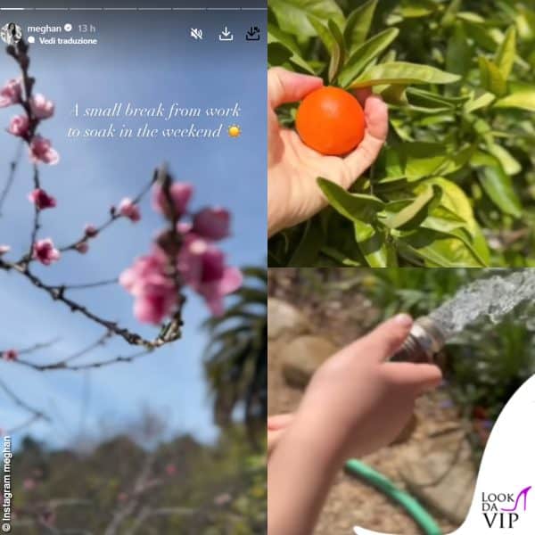 Meghan Markle mostra il giardino della sua villa in California 
