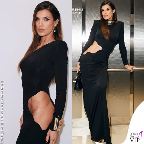 Elisabetta Canalis 