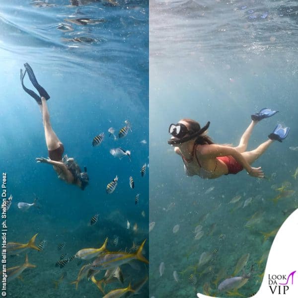Snorkeling sui fondali 