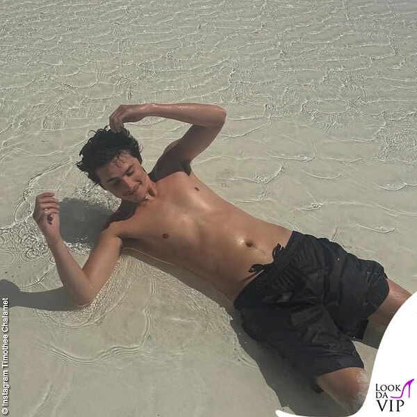 Timothée sfoggia un costume scuro