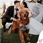 Matrimonio Valentina Vignali Fabio Stefanini abito da sposa Maison Signore