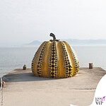 YAYOI KUSAMA zucca a Naoshima
