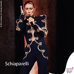 Celine Dion concerto Parigi look Schiaparelli